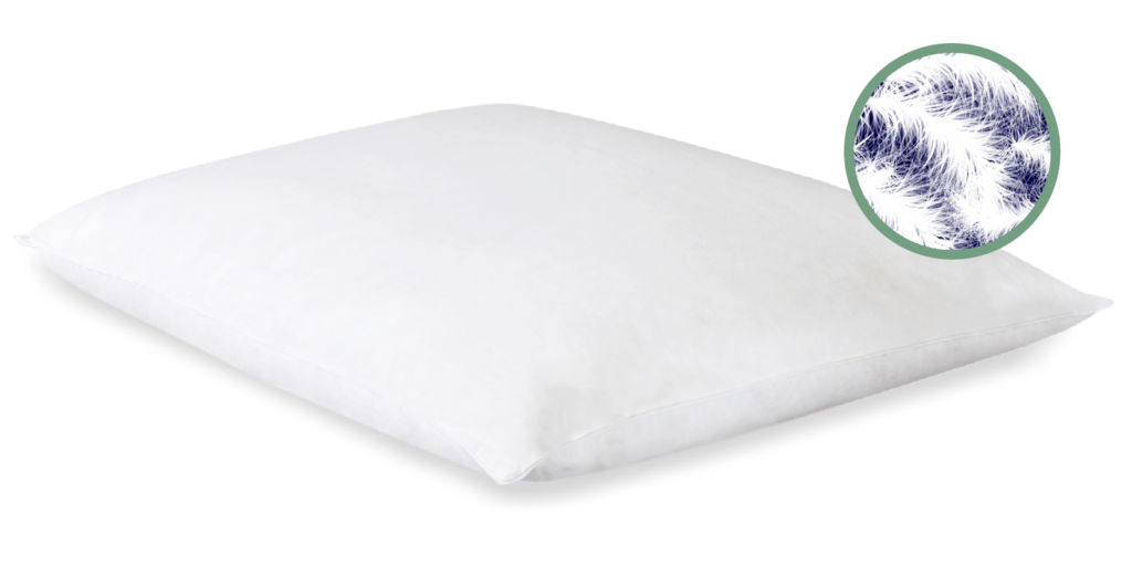 Types of Pillows and Which Ones Will Help You Sleep Better