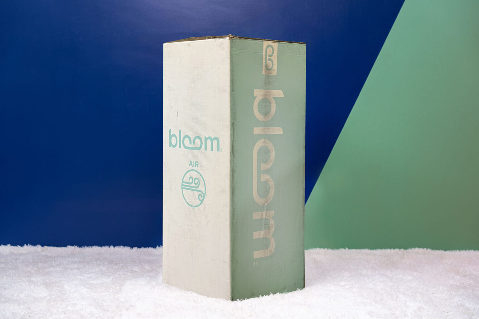 Bloom Air Mattress Review (2024)