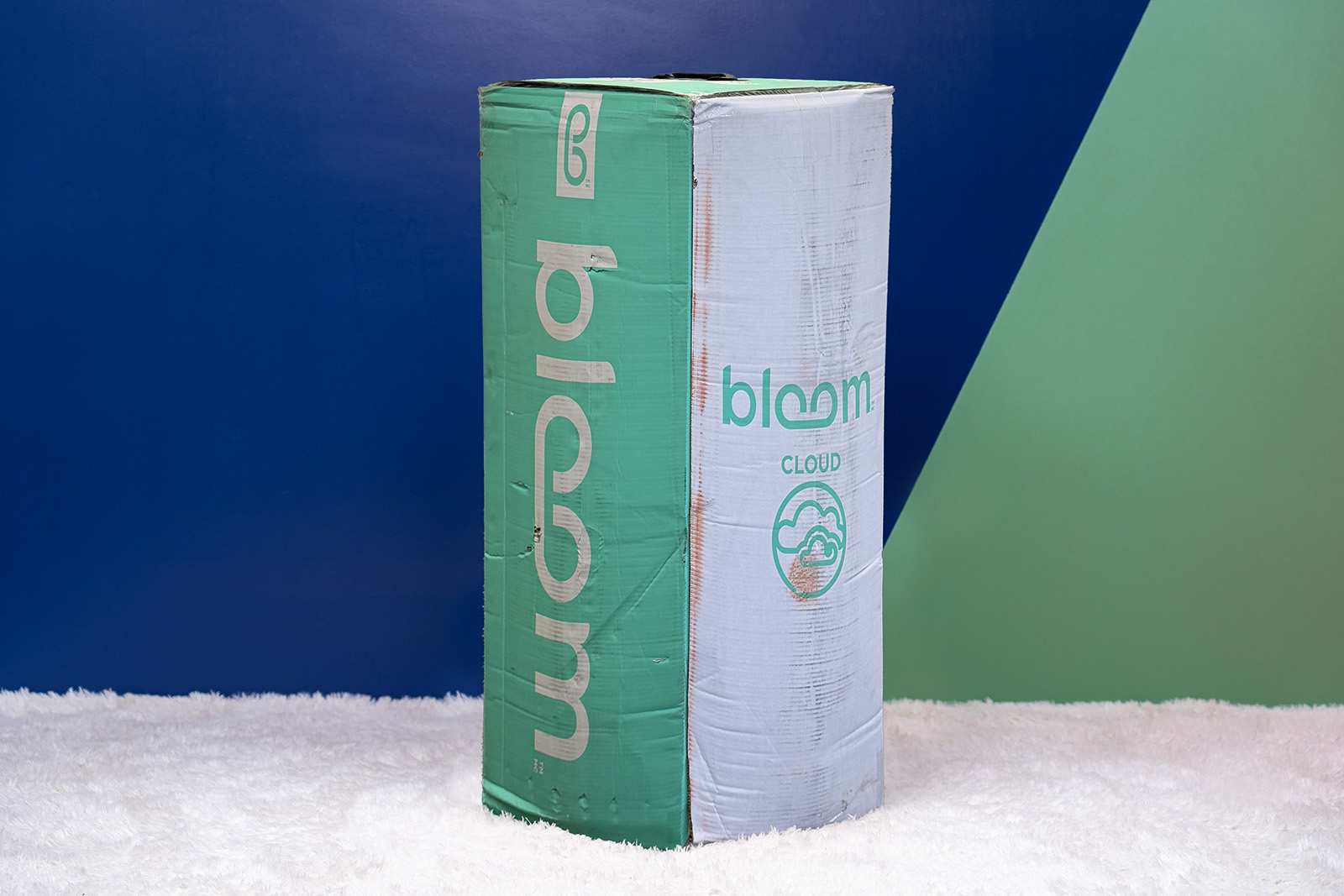 BloomCloudCarouselBox MattressReviewsca Photo of The Bloom mattress box sitting on a white carpet in a room
