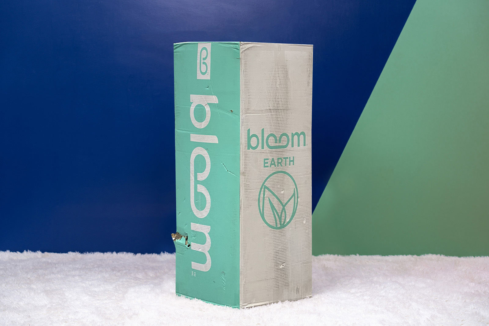 BloomEarthCarouselBox MattressReviewsca Bloom Earth mattress delivery box
