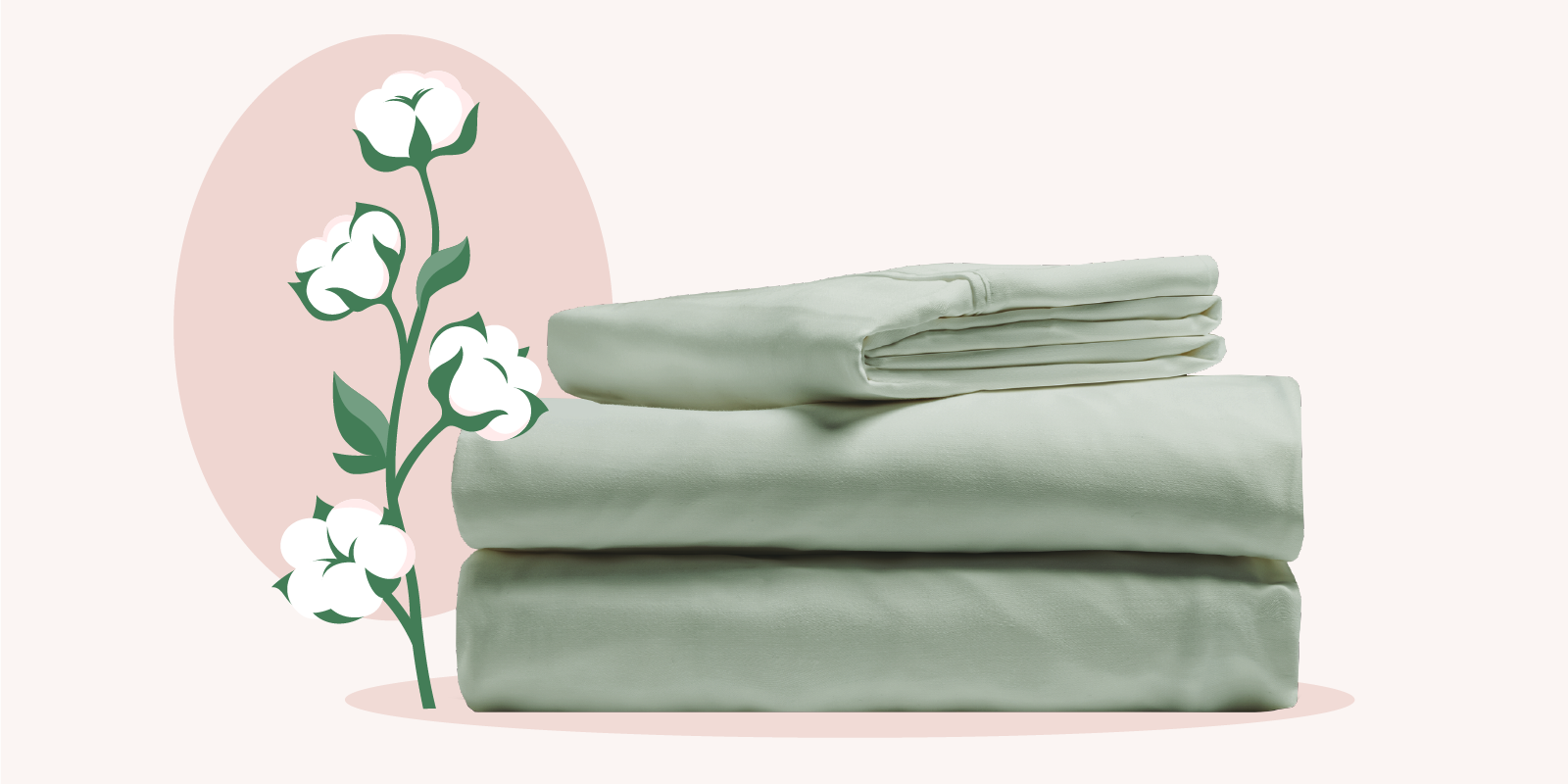 photo of cotton sheets with illustration of cotton plant to the left