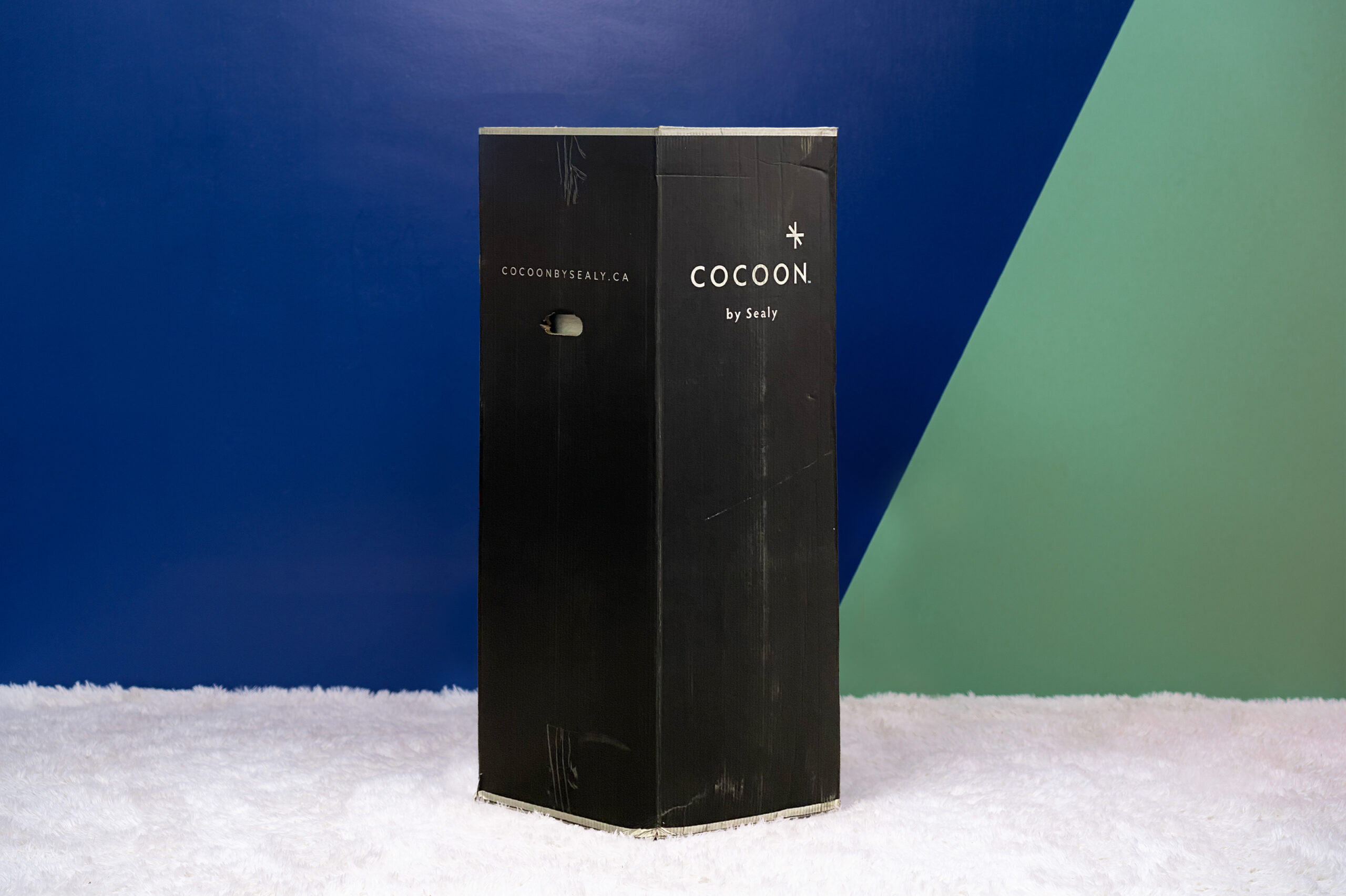 MRCASEALYCOCOONFOAMBOX2026 1 MattressReviewsca cocoon box