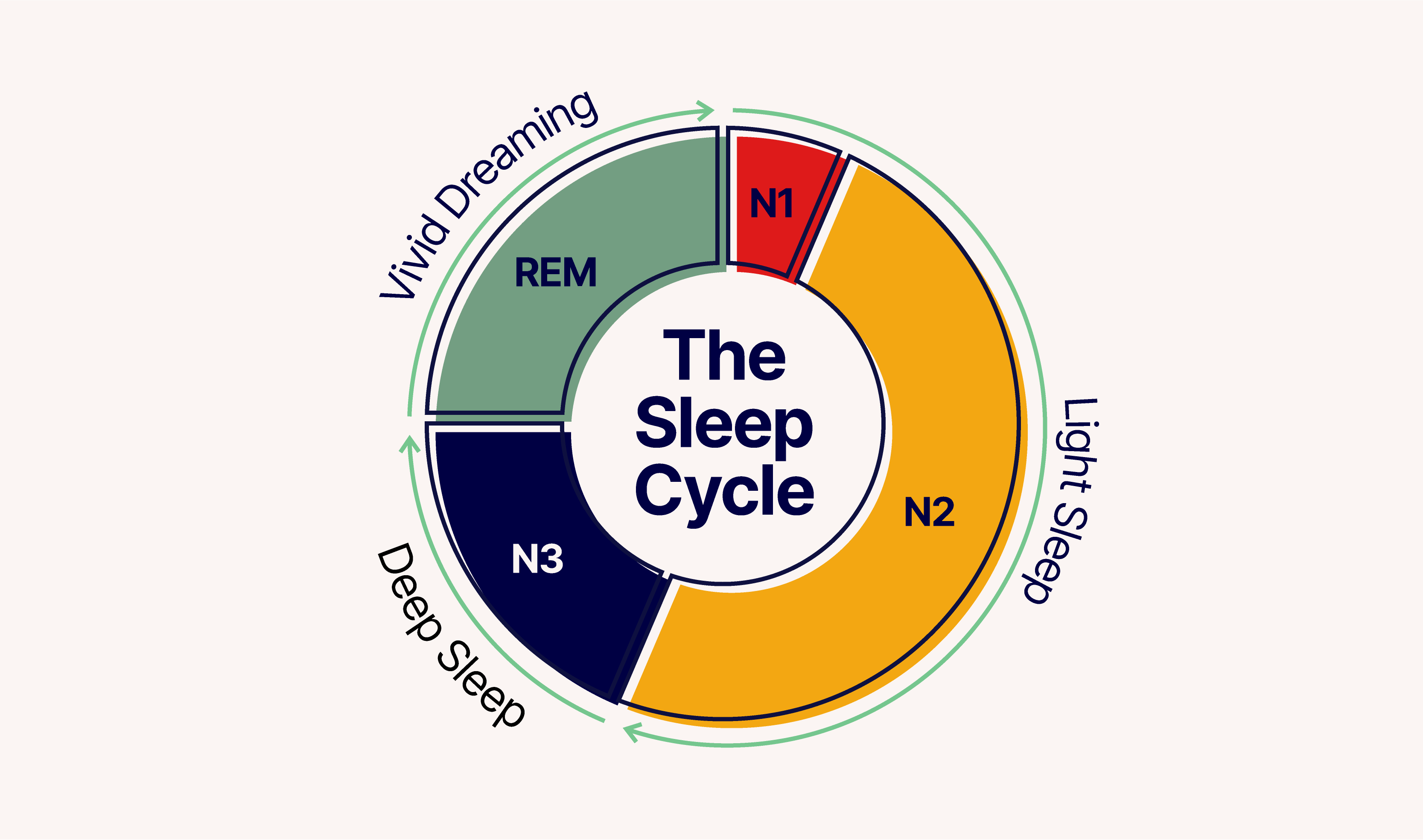 MRSleepCalculator02FourSleepCycles MattressReviewsca Illustration depicting the average sleeper's stages in a nightly sleep cycle, moving from light sleep (N1 and N2), to deep sleep (N3) to vivid dreaming (REM, AKA rapid eye movement)